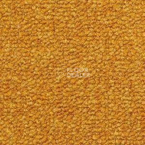 Ковролин Radici Trotter Mostarda 2412 фото 1 | FLOORDEALER